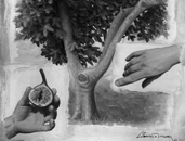 ilustración. El secreto de la higuera. ilustración relato libro Despertar