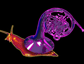 diseño. ilustración. caracol. corno. música