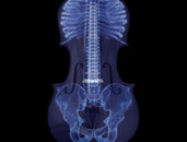 diseño. ilustración. radiografía. violín. música. la música vive