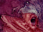 pintura. óleo.  violencia. tortura. grito. dolor